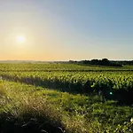 La Vigne D'or 4*