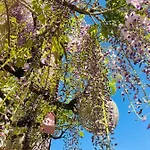 Bed & Breakfast La Vigne D'or Teuillac