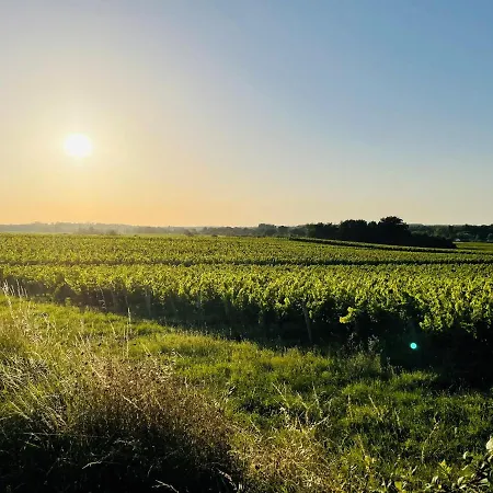 La Vigne D'or *