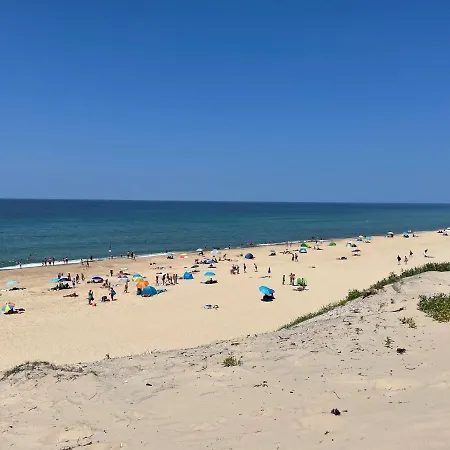 La Vigne D'or 4* Teuillac