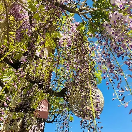 Frühstückspension La Vigne D'or Teuillac