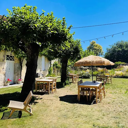 La Vigne D'or