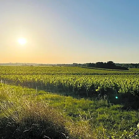 La Vigne D'or Bed and breakfast 4*
