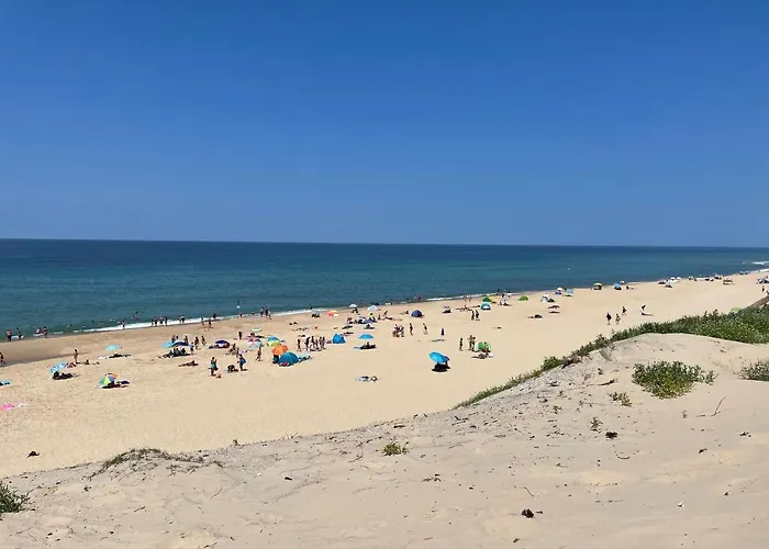 La Vigne D'or 4* Teuillac